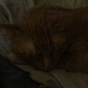 Meet your Posher, Suzanne